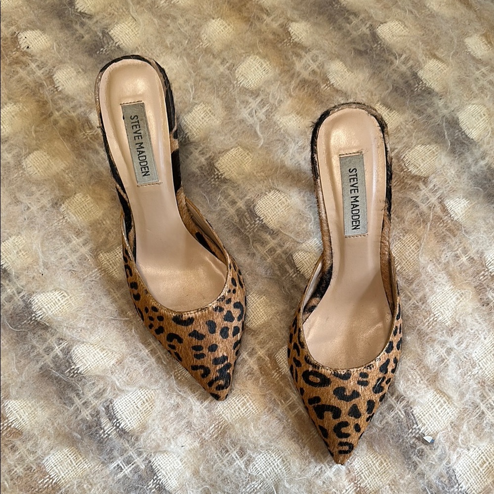 Steve Madden Leopard Print Women's Shoes
